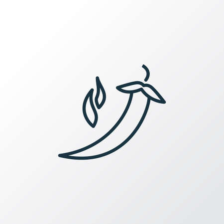 Pepper icon line symbol. Premium quality isolated chili element in trendy style.の写真素材