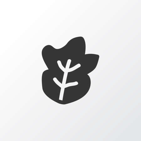 Salad icon symbol. Premium quality isolated lettuce element in trendy style.のイラスト素材