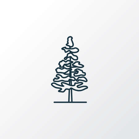 Larch tree icon line symbol. Premium quality isolated fir element in trendy style.の写真素材