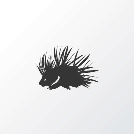 Porcupine icon symbol. Premium quality isolated hedgehog element in trendy style.のイラスト素材