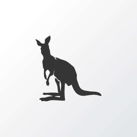 Kangaroo icon symbol. Premium quality isolated joey element in trendy style.のイラスト素材