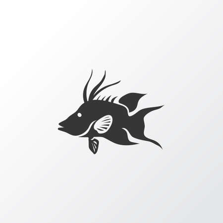 Hogfish icon symbol. Premium quality isolated aquatic element in trendy style.のイラスト素材