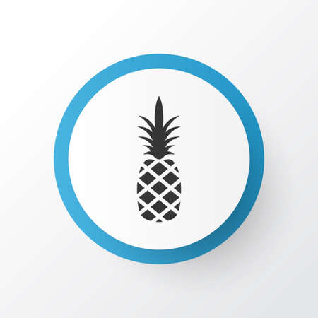 Pineapple icon symbol. Premium quality isolated ananas element in trendy style.の写真素材