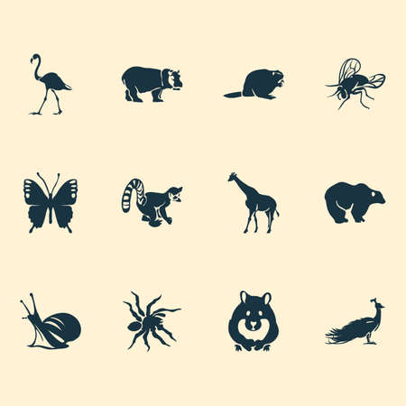 Set of zoo icons with hamster, spider, butterfly and other peafowl elements. Isolated  illustration...