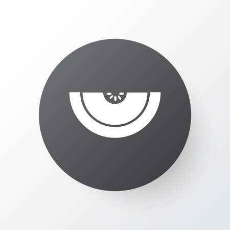 Cantaloupe icon symbol. Premium quality isolated honeydew element in trendy style.のイラスト素材