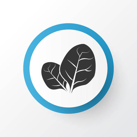 Sorrel icon symbol. Premium quality isolated herb element in trendy style.のイラスト素材