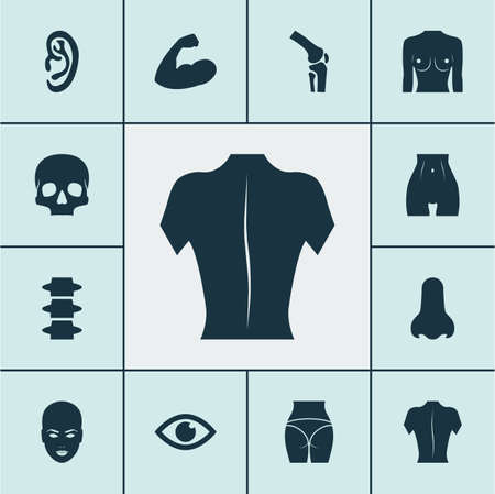 Part icons set with face, joint, arm and other skeleton
 elements. Isolated vector illustration part icons.のイラスト素材