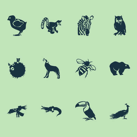 Zoo icons set with crocodile, eagle, owl and other globefish
 elements. Isolated vector illustration zoo icons.のイラスト素材