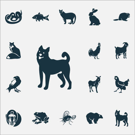 Fauna icons set with raven, bear, rabbit and other hen elements. Isolated vector illustration fauna icons.のイラスト素材