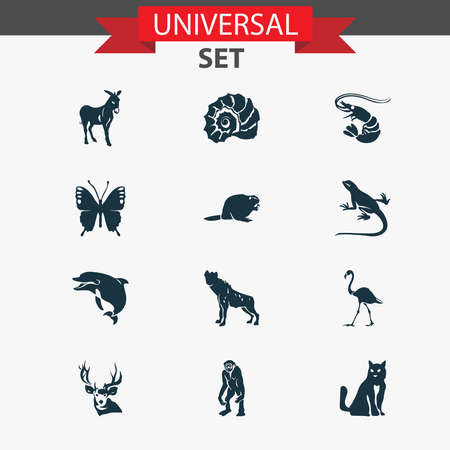 Fauna icons set with butterfly, lizard, beaver and other kitten elements. Isolated vector illustration fauna icons.のイラスト素材