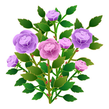 Bouquet of roses flowers designのイラスト素材
