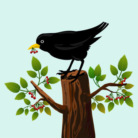 Frame with blackbird on a tree with leaves and red berriesのイラスト素材