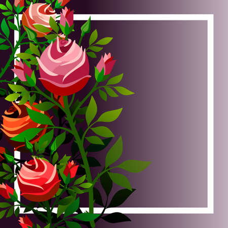 Frame with floral design, with roses and space to integrate a message. Vector illustration.のイラスト素材