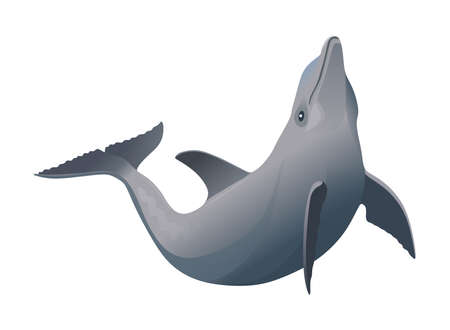 Digital art illustration with dolphin in jumping pose isolated on white background.の写真素材