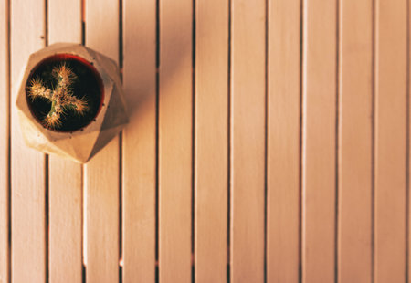 Cactus in a pot on a wooden background. Copy space.の写真素材