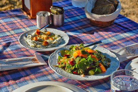 Plate with salad on a picnic in the open air. Selective focus.の写真素材