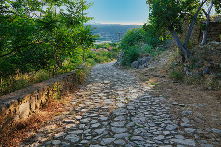 Old cobblestone road in Tuscany, Italy, Europeの写真素材