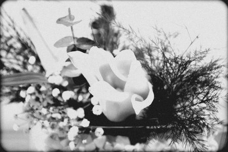 White rose and a bouquet of flowers. Black and white photo.の写真素材