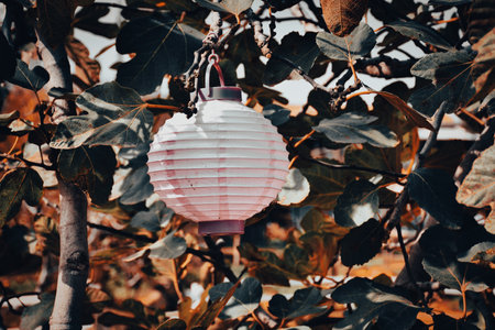 Lantern hanging on the tree in the garden. Vintage style.の写真素材