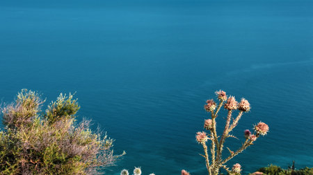 Assos Ãanakkale Troias coastline, Aegean herbs growing in the mountains near the sea in spring and a clear sky. Aegean seacape, landcape.の写真素材