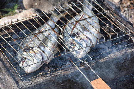 Grilled fish on the grill in the summer. Close-up. Close up view of fresh sea bream fish on grill.の写真素材