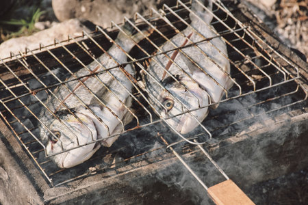 Grilled fish on the grill in the garden. Close-up. Close up view of fresh sea bream fish on grillの写真素材