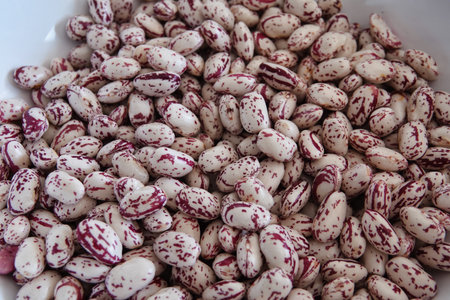 raw borlotti beans in a white bowl, closeup of photo