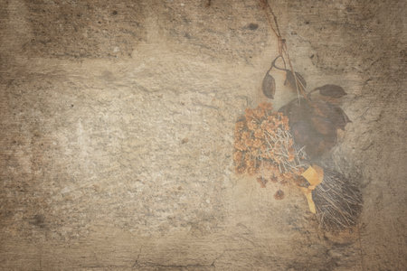 Vintage background of old brick wall with dried flowers and leaves. A bunch of Dried St. John's Wort flower and dried leaves hung on a stone wall. Autumn wallpaper, copyspaceの写真素材