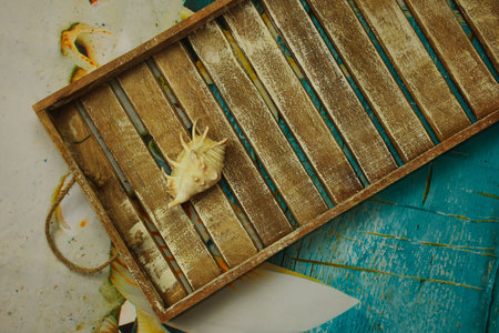 Sea shells on a wooden tray on a turquoise background.