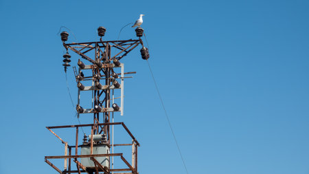 High voltage tower with a seagull on blue sky background.の写真素材