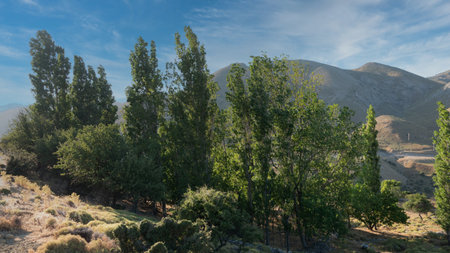 Mountain landscape with trees and blue sky in Gokceada, Turkeyの写真素材
