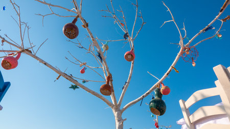 Decorative gourds pumpkin hanging on a tree in front of blue sky