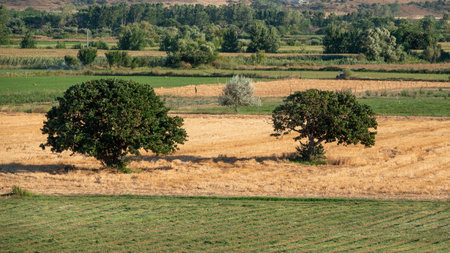 Wide agricultural fields of Bademli Village from Kalekoy hill in Gokceada island. Canakkale, Turkey....