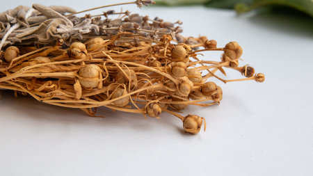 Picture of herbal incense made with herbs such as lavender and sage on a white backgroundの写真素材