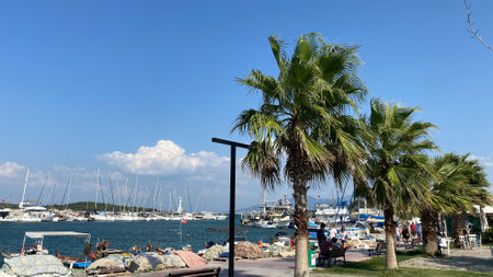 Urla, Izmir, Turkey Sept. 10,2023 Moored fishing boats at the port marina with luxury yachts...