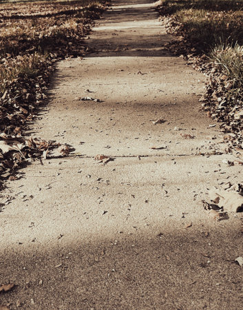 Pathway in the park with fallen leaves - retro, vintage style lookの写真素材