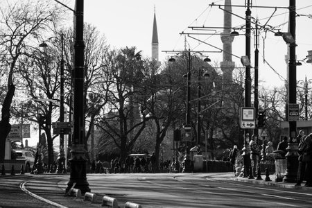 Istanbul is the capital and the most populous city of Turkey.の写真素材