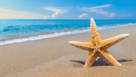 Starfish on the beach with sea and sky background. Summer vacation conceptの素材