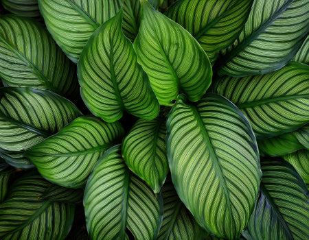 Green leaves background. Green leaves background. Green leaves texture background.の素材
