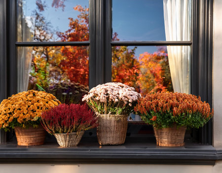 Flowers in baskets on the windowsill of a house in autumnの素材