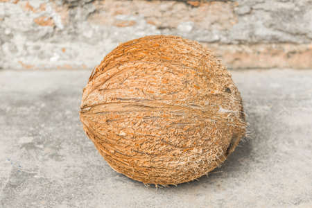 close-up of a coconutの写真素材