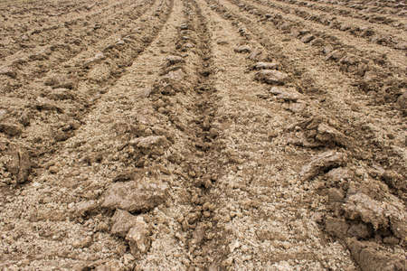 Plough agriculture field before sowing.の写真素材