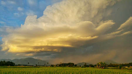 Storm clouds rolling over rice field
