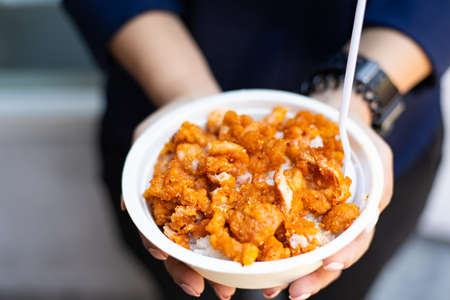 Fried chicken over rice in paper plateの写真素材