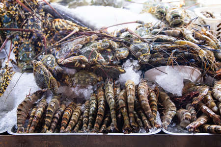 Fresh shrimp on Ice in the market.の写真素材