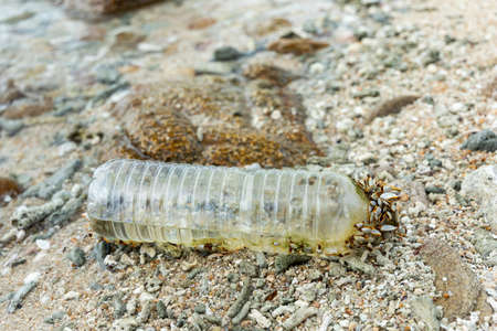 Plastic bottle is on the beach.