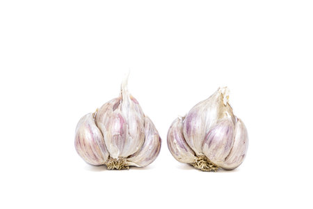 Garlic isolated on white background.の写真素材