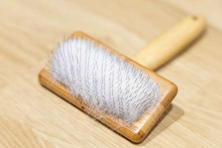 Close up of cat brush with cat hair.の写真素材