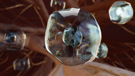 3d illustration of Hemocytoblast, producing red blood cell, blood cell formation, stem cell, erythrocytes, leukocytes, nucleus, cytoplasm, 3d renderの写真素材