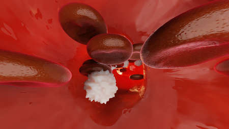 Hemostasis. Red blood cells and platelets in the blood vessel. Basic steps of wound healing process....